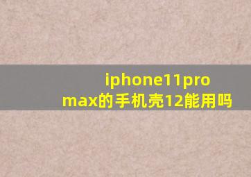 iphone11pro max的手机壳12能用吗